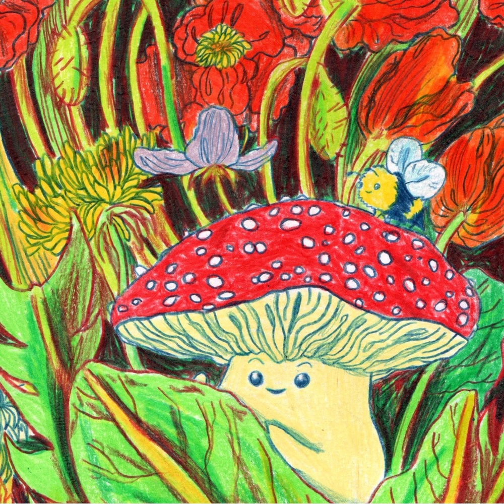 🍄🍓❤️Live Unlisted❤️🍓🍄